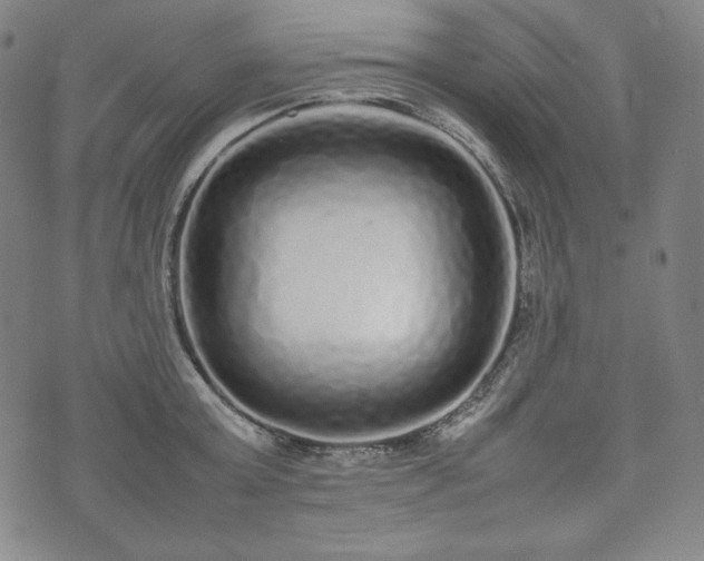 X0000075330803200609151444