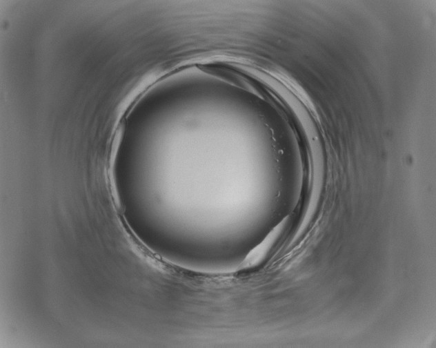 X0000075330813200609151444