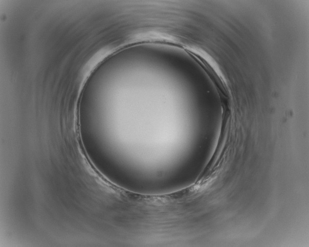 X0000075330815200609151444