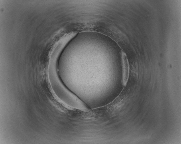 X0000075330818200609151444