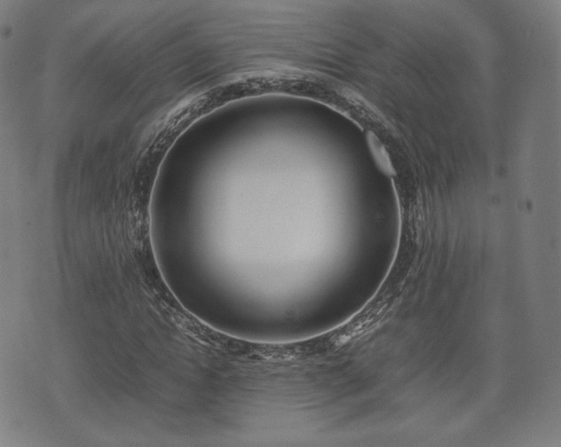X0000075330822200609151444