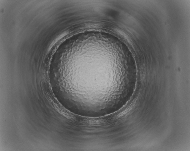 X0000075330827200609151444