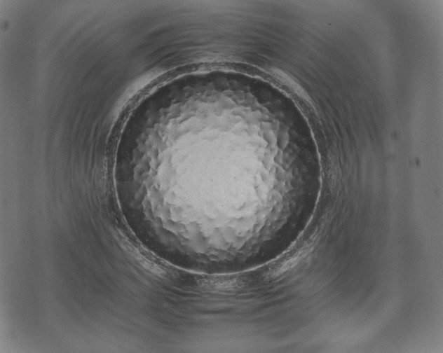 X0000075330831200609151444
