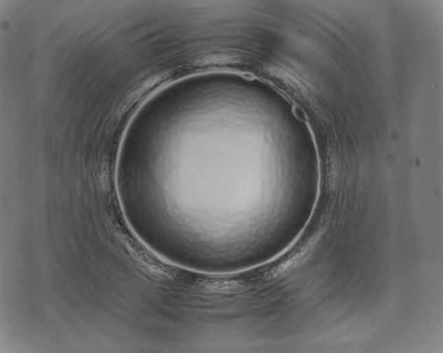 X0000075330833200609151444
