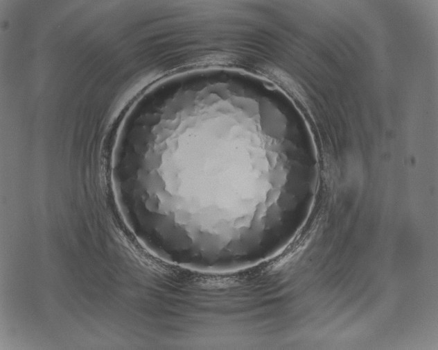X0000075330835200609151444