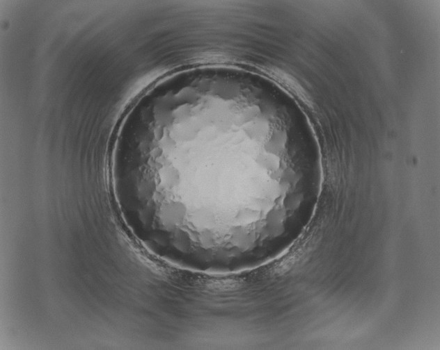 X0000075330839200609151444