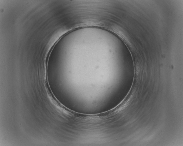 X0000075330844200609151444