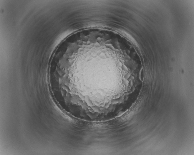 X0000075330847200609151444