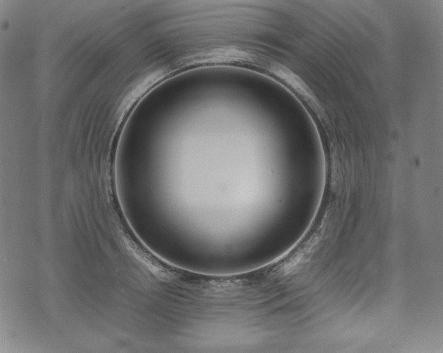 X0000075330850200609151444