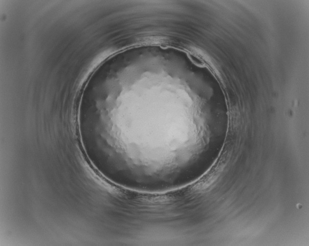 X0000075330851200609151444