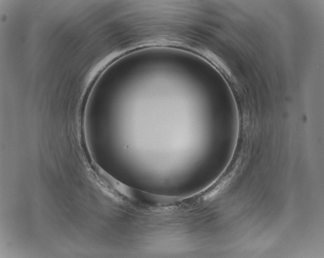 X0000075330854200609151444