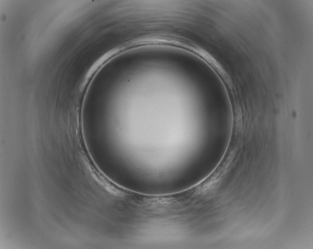 X0000075330862200609151444