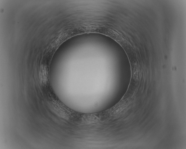 X0000075330866200609151443