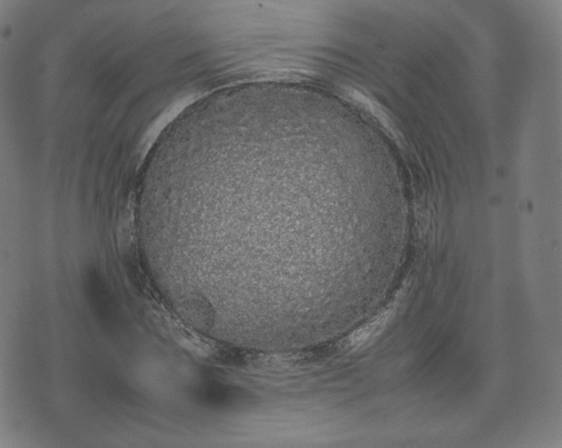 X0000075330875200609151443