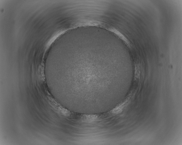 X0000075330878200609151443