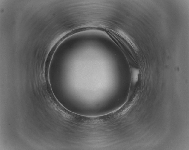 X0000075330884200609151443