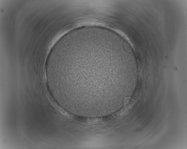 X0000075330887200609151443