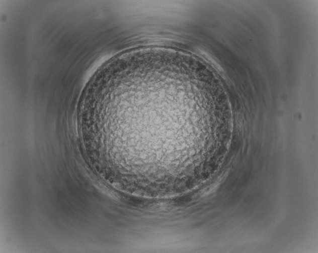 X0000075330891200609151443