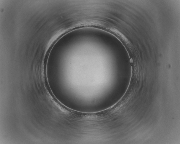 X0000075330894200609151443