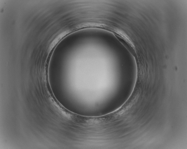 X0000075330898200609151443