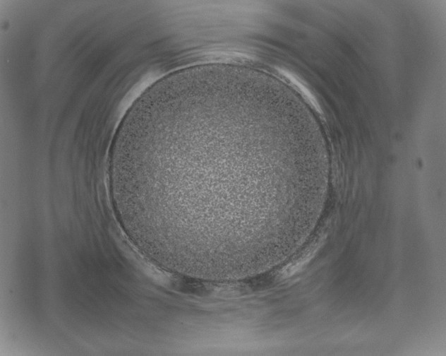 X0000075330899200609151443