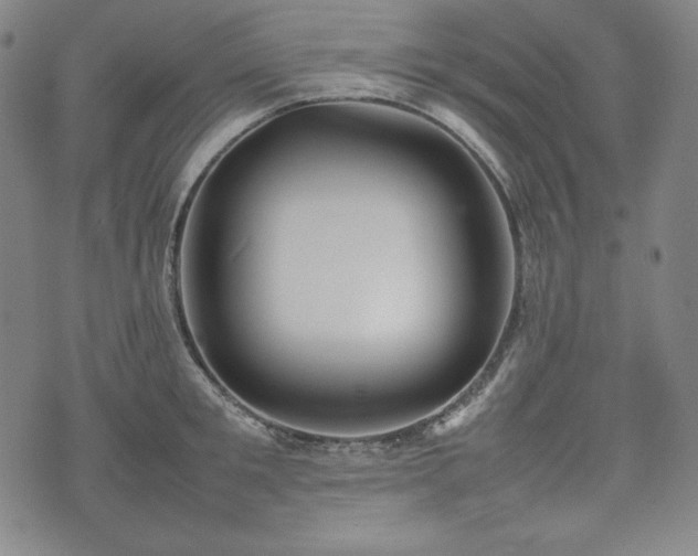X0000075330901200609151443