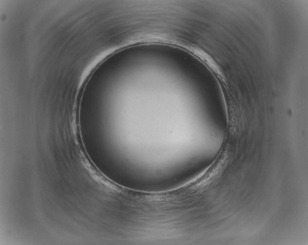 X0000075330904200609151443