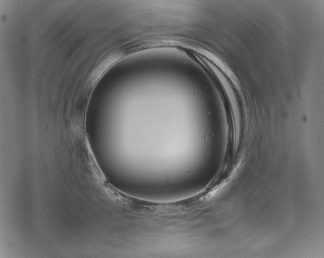X0000075330905200609151443