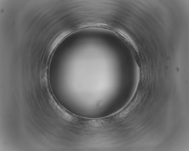 X0000075330906200609151443