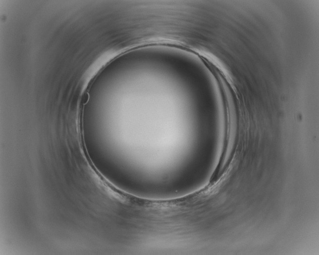 X0000075330910200609151443