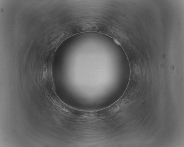 X0000075330914200609151442
