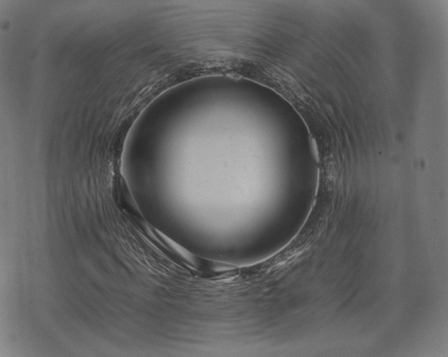 X0000075330916200609151442