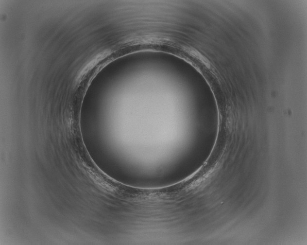 X0000075330922200609151442