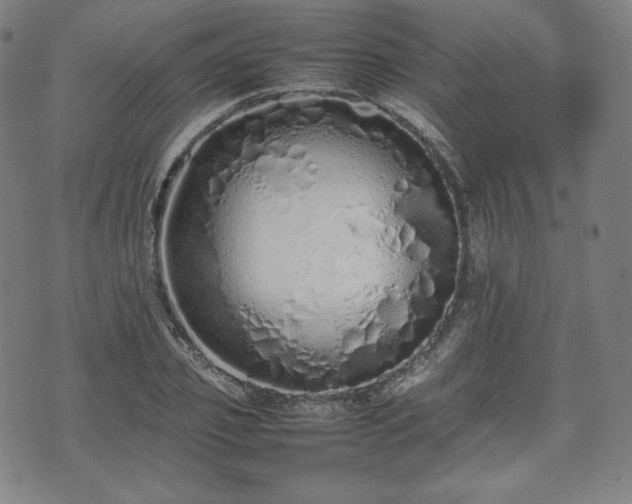 X0000075330933200609151442