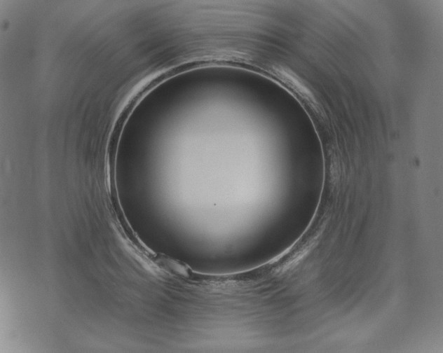 X0000075330940200609151442