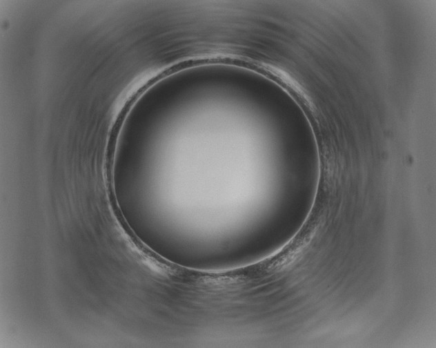 X0000075330943200609151442