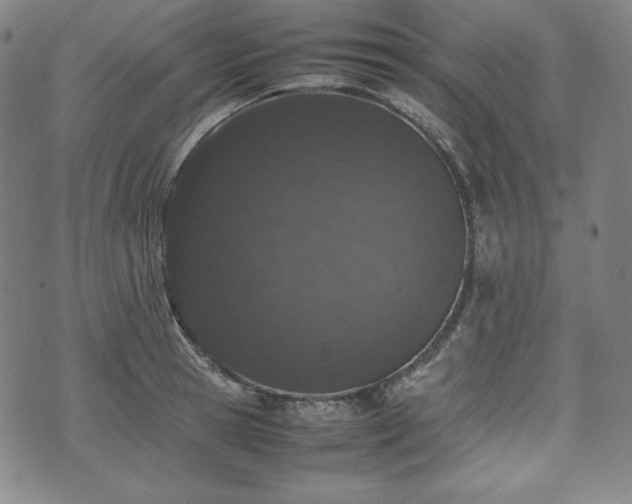 X0000075330945200609151442