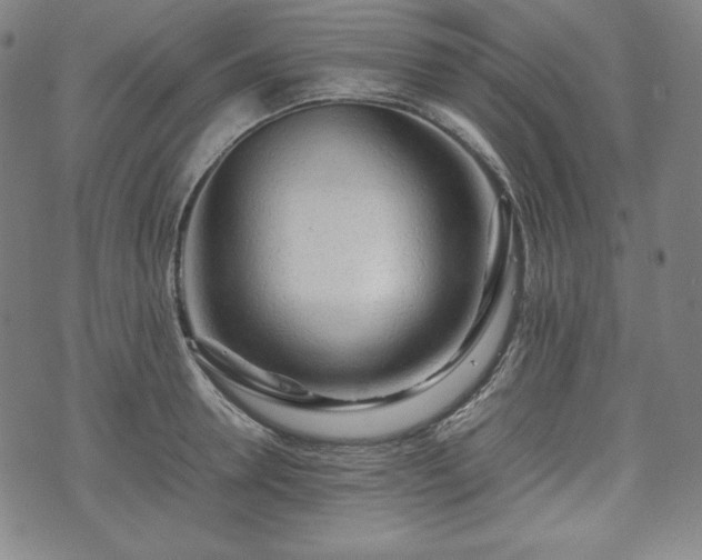 X0000075330946200609151442