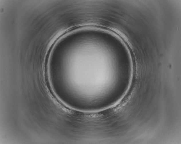 X0000075330949200609151443