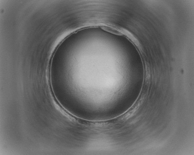X0000075330958200609151443