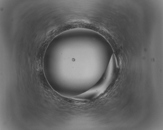 X0000075330965200609151442
