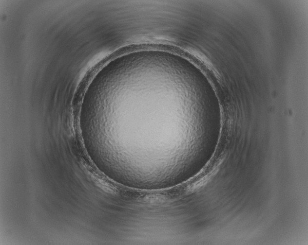 X0000075330974200609151442
