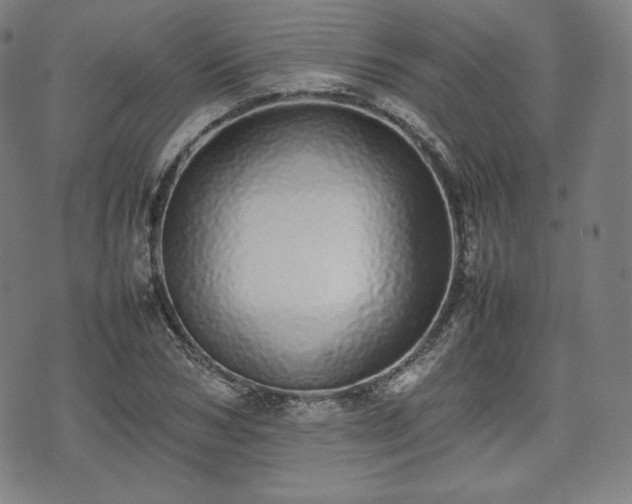 X0000075330978200609151442