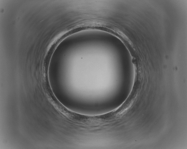 X0000075330981200609151442