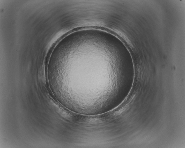 X0000075330982200609151442