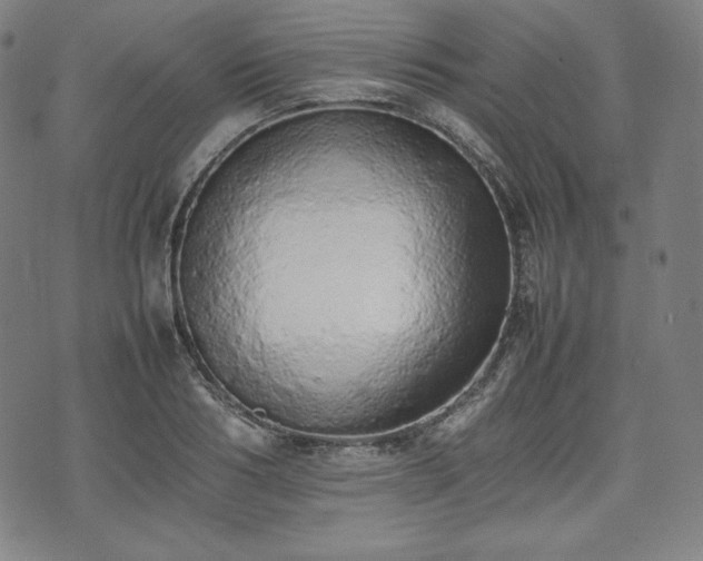 X0000075330986200609151442