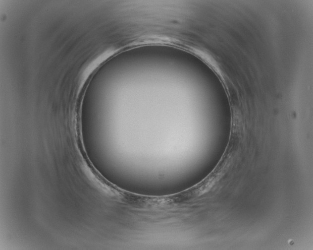 X0000075331003200609151441