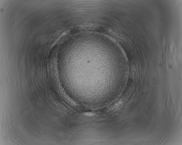 X0000075331010200609151440