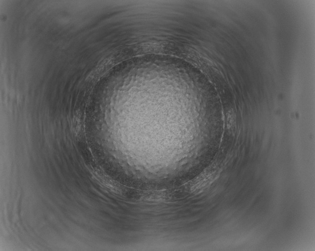 X0000075331011200609151440