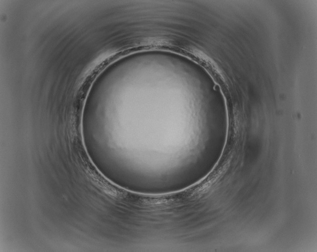 X0000075331019200609151441